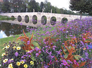 Blumenwiese vor Fischhofbrücke