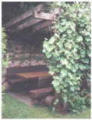 Schattige Weinlaube