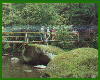 Idyllisches Waldnaabtal mit Blockhtte, ca. 3 Std. Fuweg hin und zurck